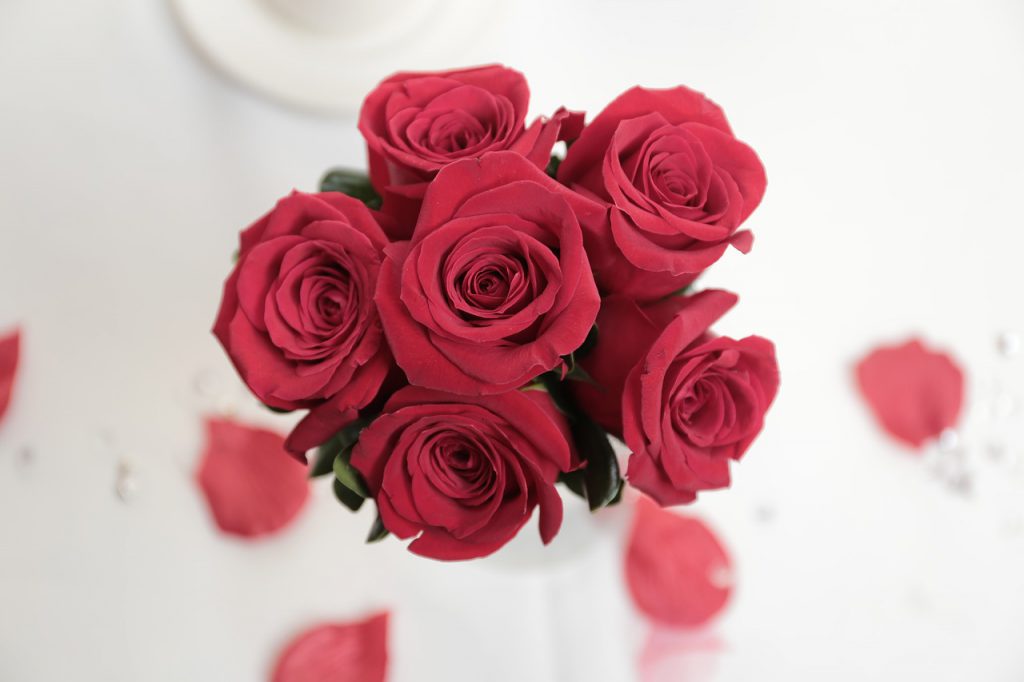 バラの色ごとの花言葉と贈る時の注意点